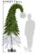 Premium Bendable Top Green Grinch Christmas Tree Aspen Fir - Festive Holiday Décor